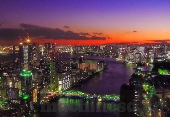 糖心app-